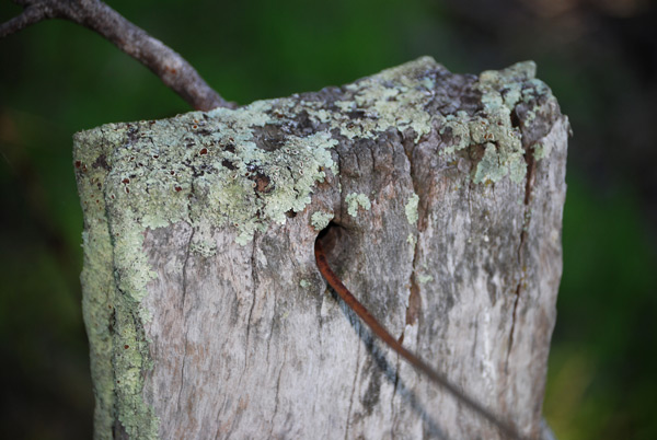 fencepost 1