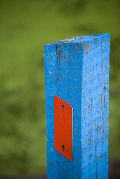 blue post