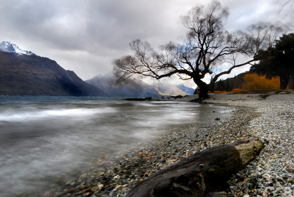 Misty lake