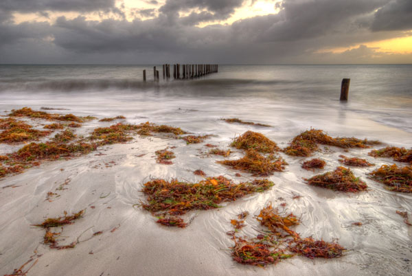 quindalup
