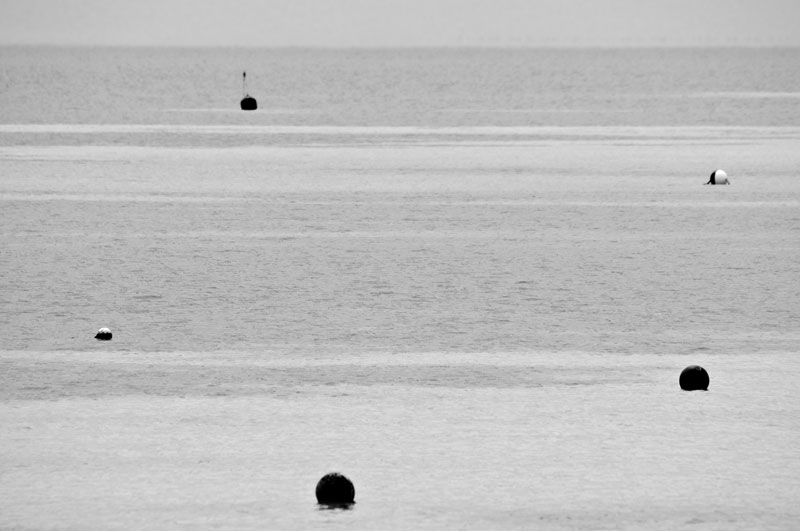 Buoys will be buoys...