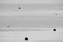 Buoys will be buoys...