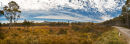 Roadside vista