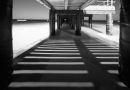 under the boardwalk...
