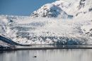 Grand Pacific Glacier