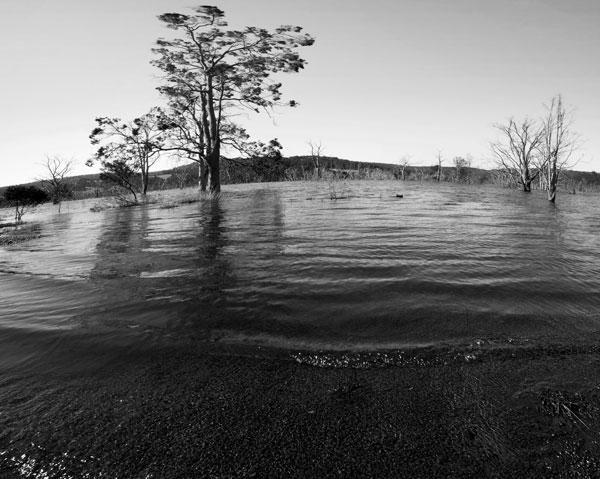 waters