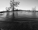 waters