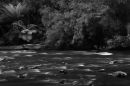 hellyer river