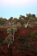 Joffe Gorge