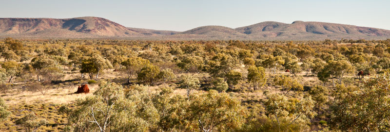 Joffe Gorge view south