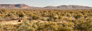 Joffe Gorge view south