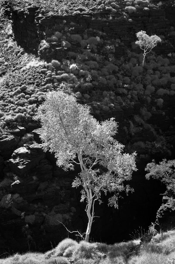 Junction Pool lookout, Karijini