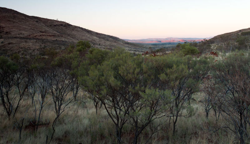 Karijini Drive view to Tom Price