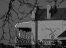 Red Mill Store