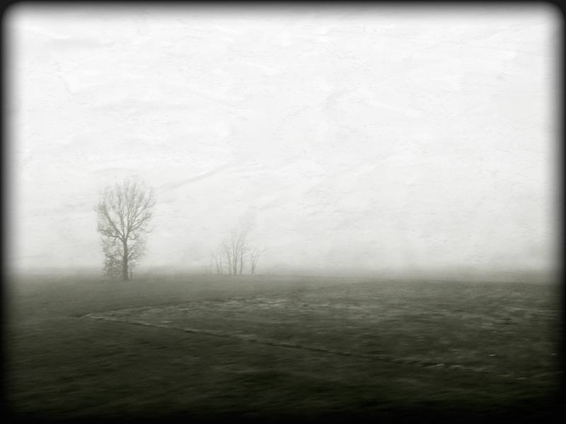 to Parma