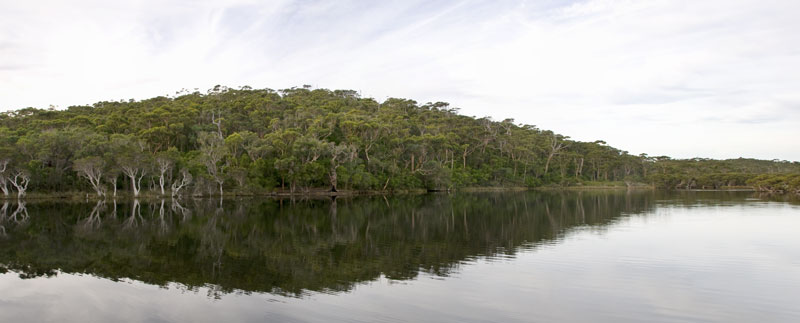 walpole inlet panoarama