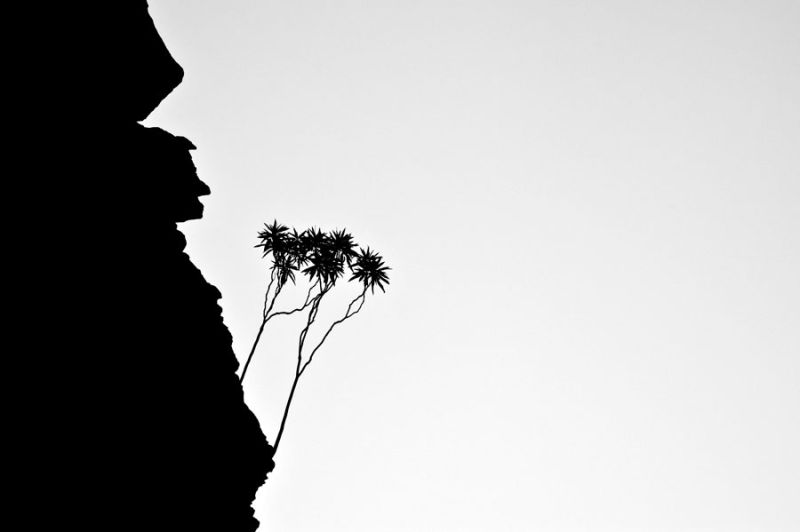 Weano Gorge - can you see him??