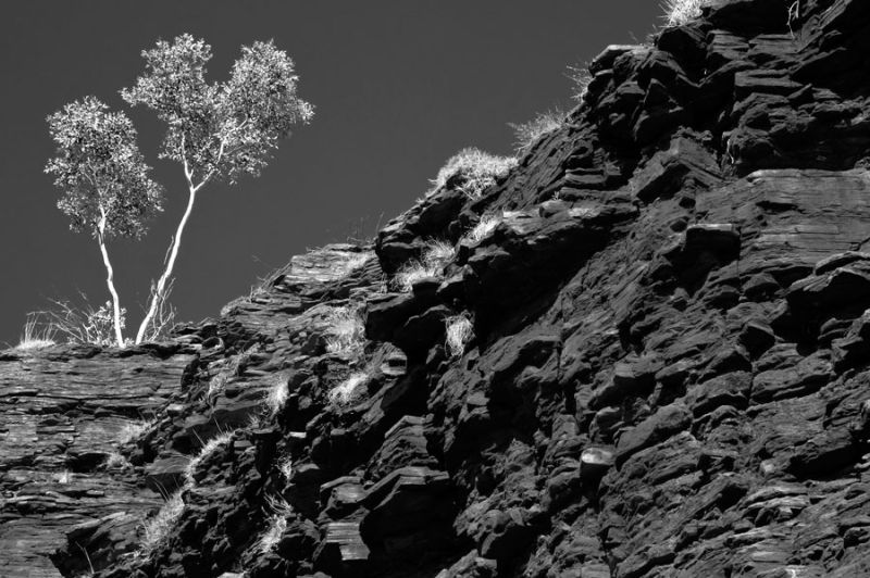 Weano Gorge