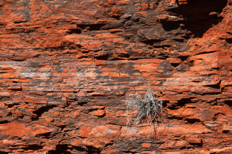 Weano Gorge