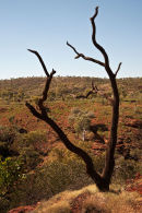 Weano Gorge