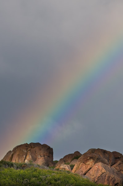 gold in the hills...