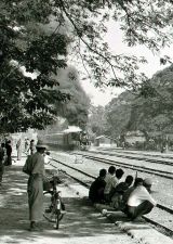 Watching the Arrival.