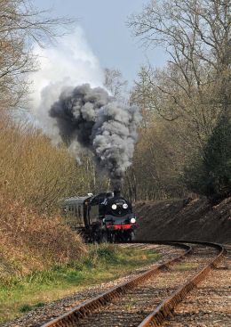 Passing through Neylands Woods.