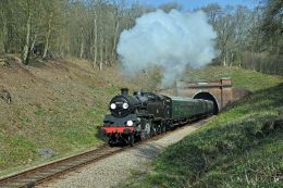 Tunnel under Sloe Garden Woods.