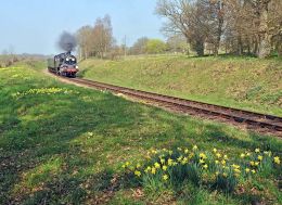 Freshfield in bloom.