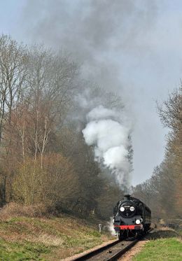 Approaching Sheffield Park.