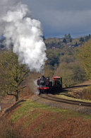 Safari Curve Bewdley
