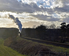 Safari curve at sunset