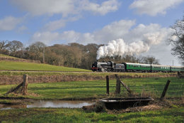 Who left the gate open ??