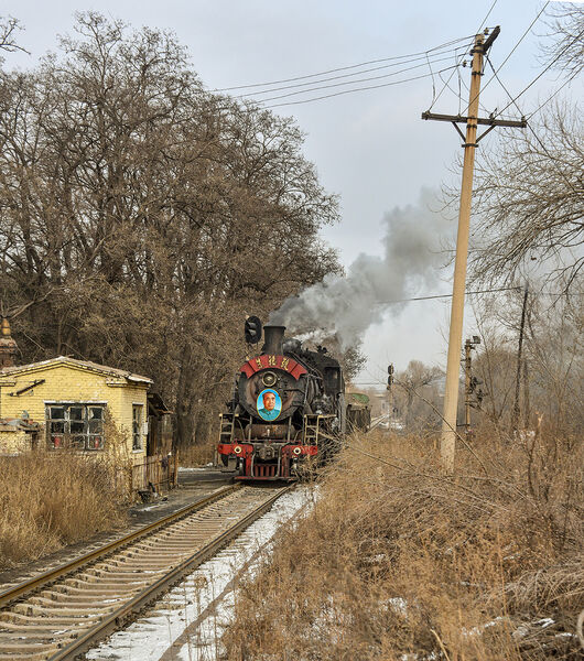 A surprise loco - a pet