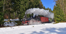 Saxon Narrow Gauge Railways, March 2016