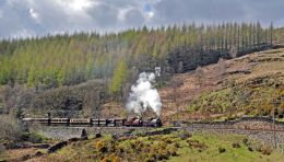 Near Rhyd