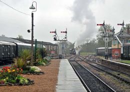 The flowers of spring