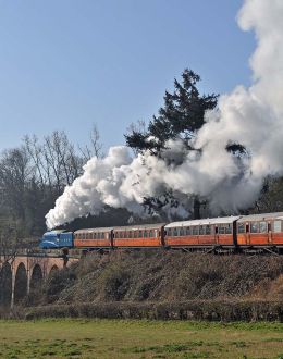 Daniel's Mill Viaduct.