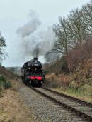 The cutting by the Safari Park, south of Bewdley.