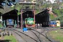 The Shed at Coonoor.