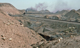 In the desert Zhongwei
