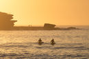 Surfers at sunrise, Bondi Beach, Sydney, Australia