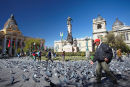 Pigeons in Plaza Pedro Murillo, La Paz