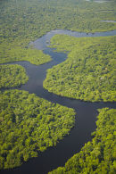 Amazon rainforest and Rio Negro, Manaus
