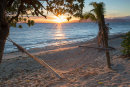 Hammock at sunrise, Bounty Island