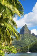 Yacht in Cook's Bay, Moorea, French Polynesia