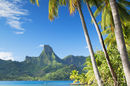 Cook's Bay, Moorea, French Polynesia