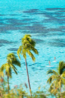 Paddleboarders, Moorea, French Polynesia