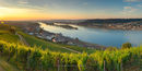 Rudesheim and River Rhein at sunrise, Germany