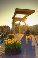 Cyclist crossing Skinny Bridge, Amsterdam, Netherlands